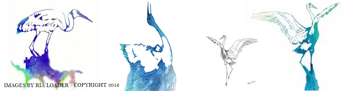 BrolgaDancingRiaLoader