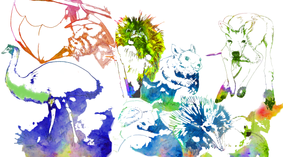 Australian animals by Ria Loader